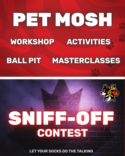 Pet Mosh