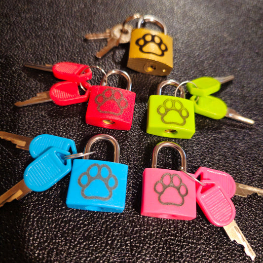 Colored Lock (S)